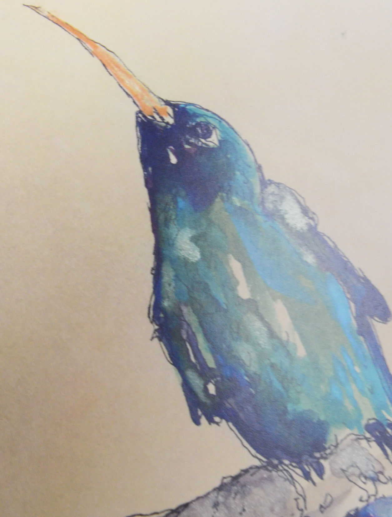 FOCUS: Bird